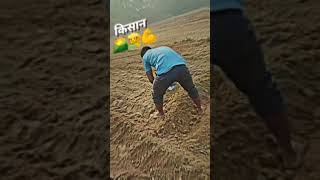 Chhora Farming Short Video Baghel