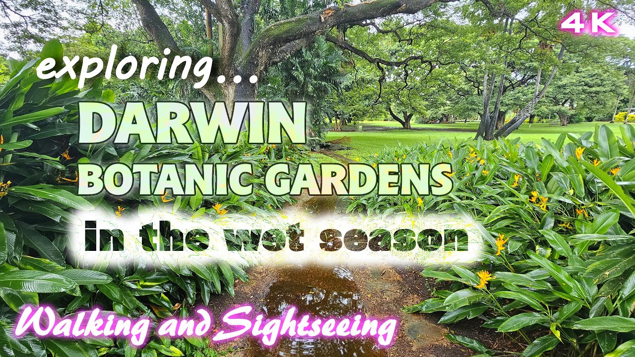 Darwin City Botanic Gardens 4K Walking and Sightseeing Travel Tour | Northern Territory Australia 🇦🇺
