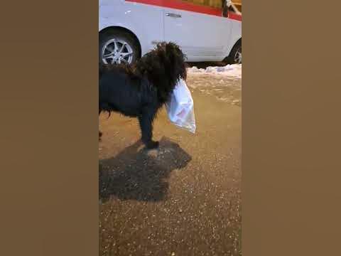 ластик в #отелей Настя Клейн - YouTube
