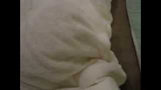 ＜楽しいショッピング＞「ニトリ・掛ふとんカバー（Nウォーム）」20140110[aichi007] ＜寒さ対策＞