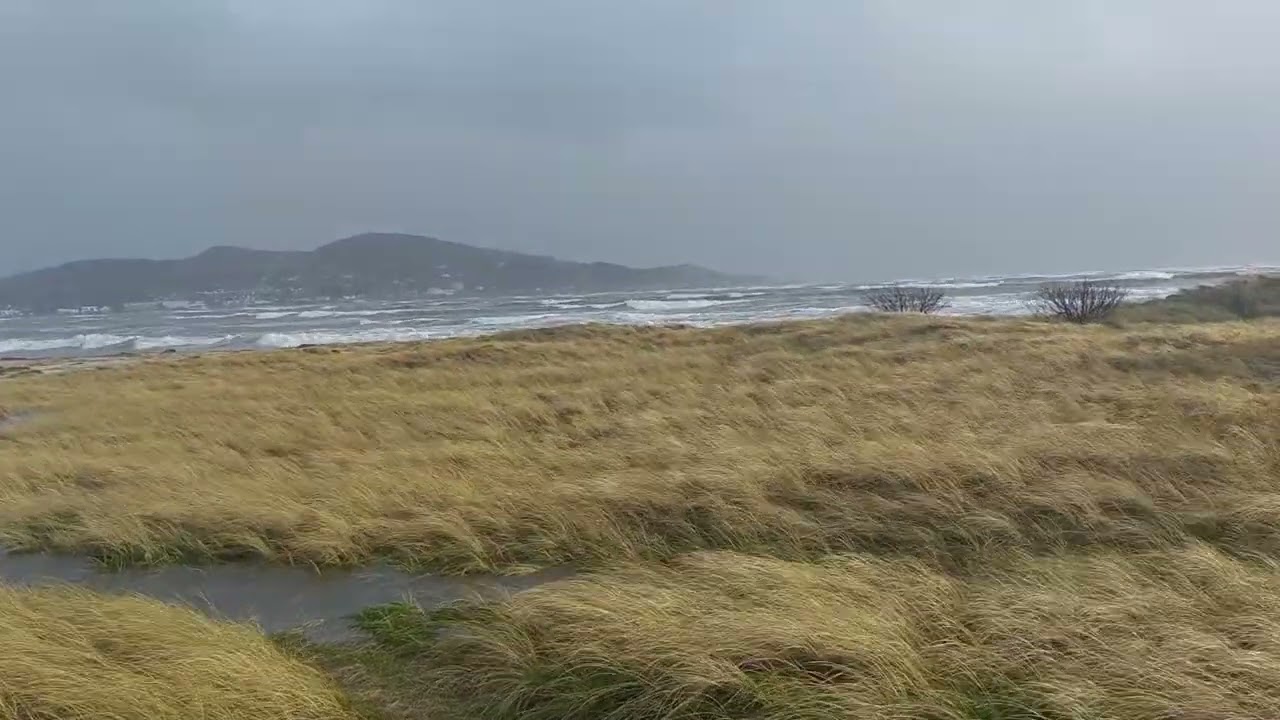 Bull Island Dublin bay