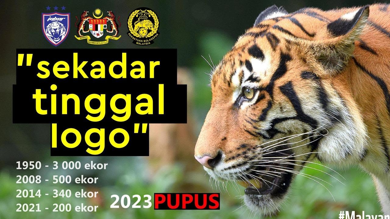 harimau-malaya-pupus-menjelang-2023-youtube