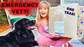 Celebrating One Year w/ My Guide Dog! (GONE WRONG)