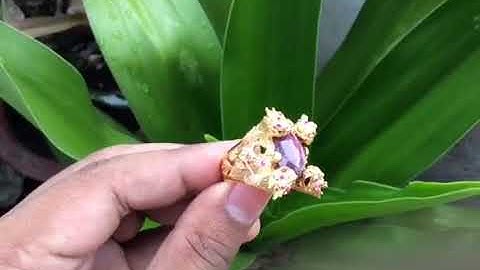 Rồng - Ruby : biểu tượng quyền lực và thịnh vượng