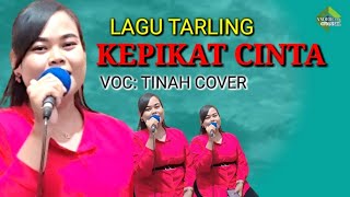KEPIKAT CINTA - TINAH COVER | TARLING TENGDUNG