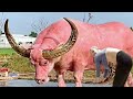 Amazing Big Cows | Modern Farming 2023 | Pretty Girls On The Farm | Hoofs Trimming - Live Stream