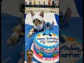 #happybirthday #funny #aiandcats #aicats #kitten #animalintelligence #cute #cat #cake