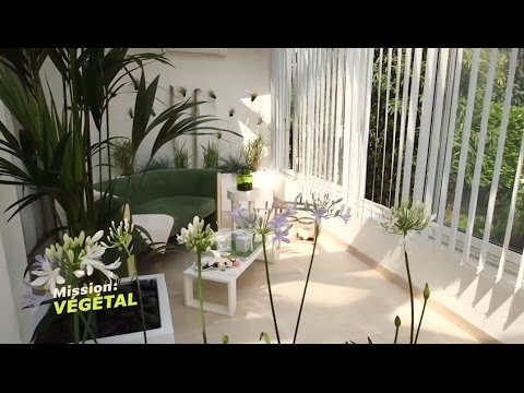 Vidéo: Véranda pour toutes les saisons - Meilleures plantes à cultiver dans une véranda