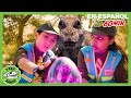 La aventura a-pascua-tosa de Max y Bella | Videos de dinosaurios y juguetes para niños