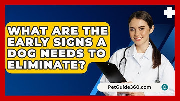 What Are The Early Signs A Dog Needs To Eliminate? - PetGuide360.com