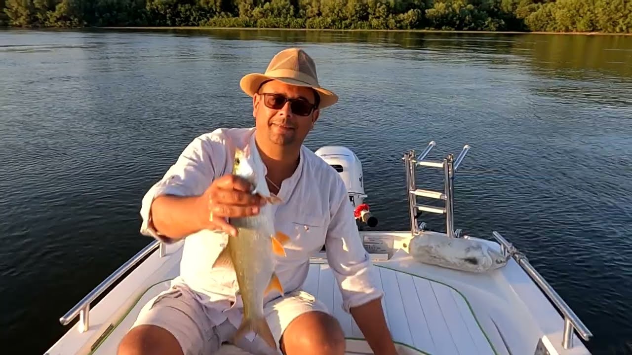 Varaličarenje bucova u letnjem periodu