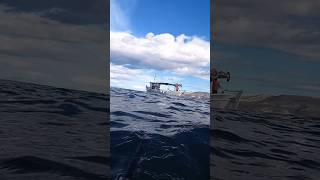 Παράνομη Αλιεία 🎣 δίχτυα 10 Μέτρα από την Ακτή!!!🤬😡#ψαρεμα #fishing #spearfishing #greece #yt#shorts