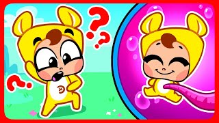Why Do We Have Belly Buttons Song 😻 Funny Songs For Kids
