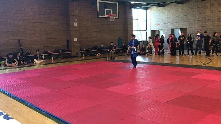 2019 Wushu Collegiates at UCI - Julia Lin - Int F CQ