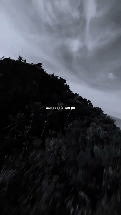 People You Know - Selena Gomez | lyrics | aesthetic | whatsapp Status | slowed | speed up | audio
