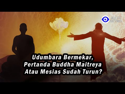 Setelah Shakyamuni, Jesus Turun, Udumbara Bermekar, Tanda Buddha Maitreya atau Mesias Sudah Turun?