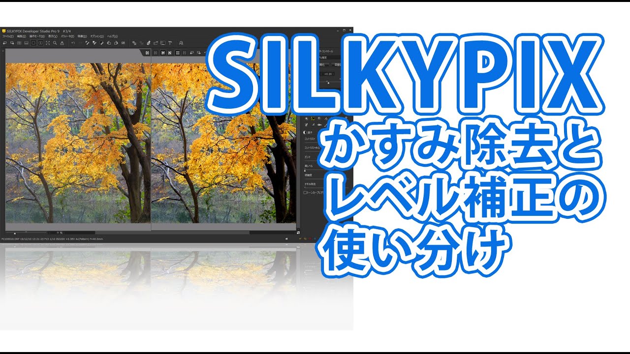 【SILKYPIX】かすみ除去とレベル補正の使いわけワンポイント
