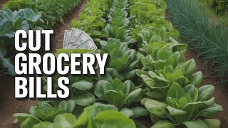 Cut Grocery Bills in Half With These 5 Vegetables 🛒🌱