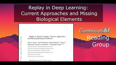 ContinualAI RG: "Replay in Deep Learning: Current Approaches and Missing Biological Elements"