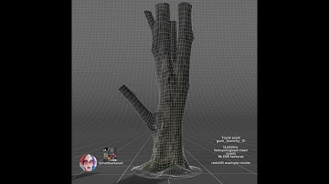 Gumtree Trunk Photogrammetry Asset