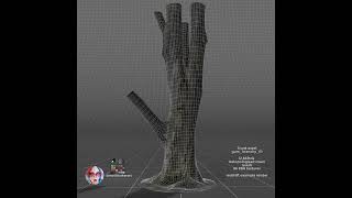 Gumtree Trunk Photogrammetry Asset