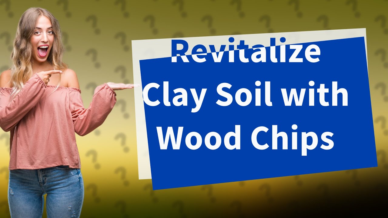 How Can Wood Chips Transform My Poor Clay Garden Soil? YouTube