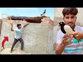 Aj hum ne nayab kbooter pkra how to a pigeon hammad pet house