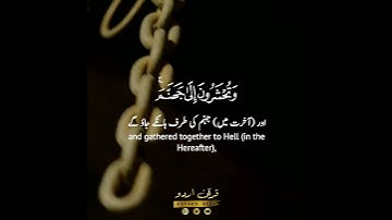 🍁✨قل للذين كفروا ستُغلبون✨🍁 سورة آل عمران:١٢|عبدالرحمن مسعد|Aal e Imran:12|Abdur Rahman Mosad