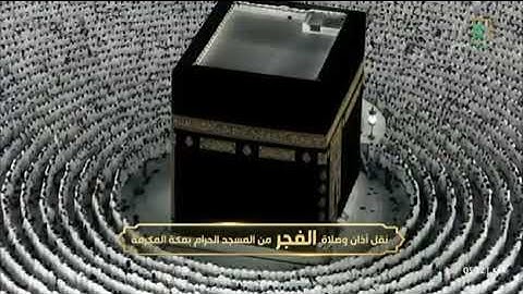 ‏▫️| صلاة الفجر من رحاب المسجد الحرام 🕋  👤| فضيلة الشيخ بدر بن محمّد التركي ماتيسر من سورة التوبة