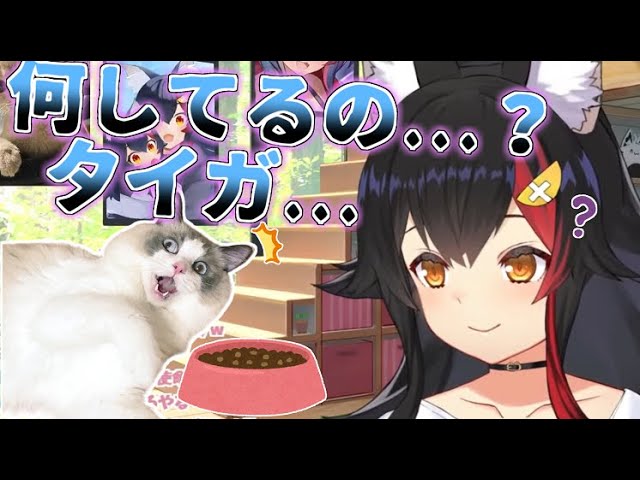 埋めるタイプの犬だったことが判明したタイガ【ホロライブ 切り抜き 大神ミオ タワちゃん 】