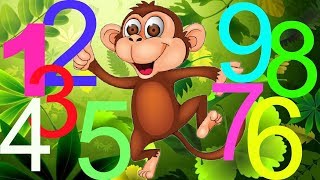 amozesh adad - آموزش اعداد انگلیسی با مومو میمون | اعداد انگلیسی - آموزش انگلیسی - کارتون فارسی