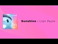 Liam Payne - Sunshine (Bahasa) (From the Motion Picture “Ron’s Gone Wrong”)