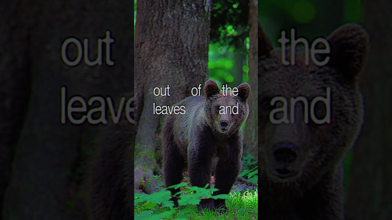 pay the price to live without a cost.