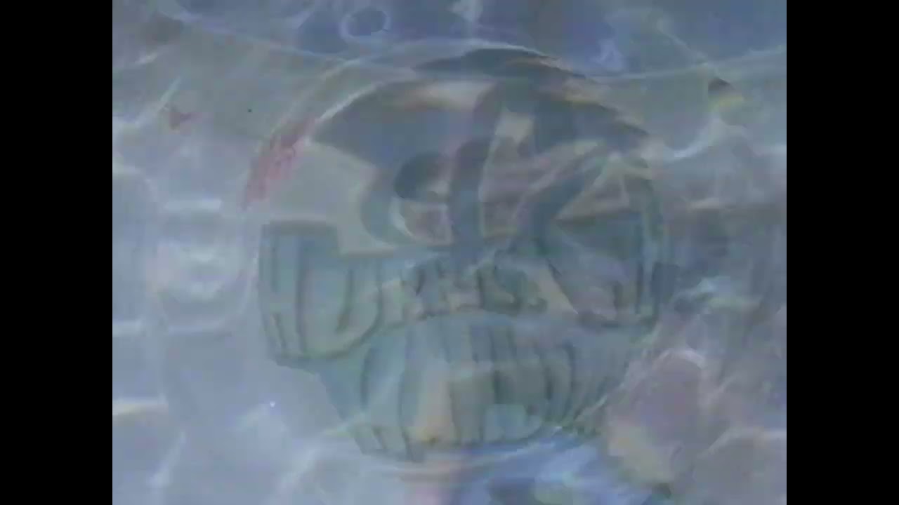 Six Flags Ohio - Hurricane Harbor (2000, USA)