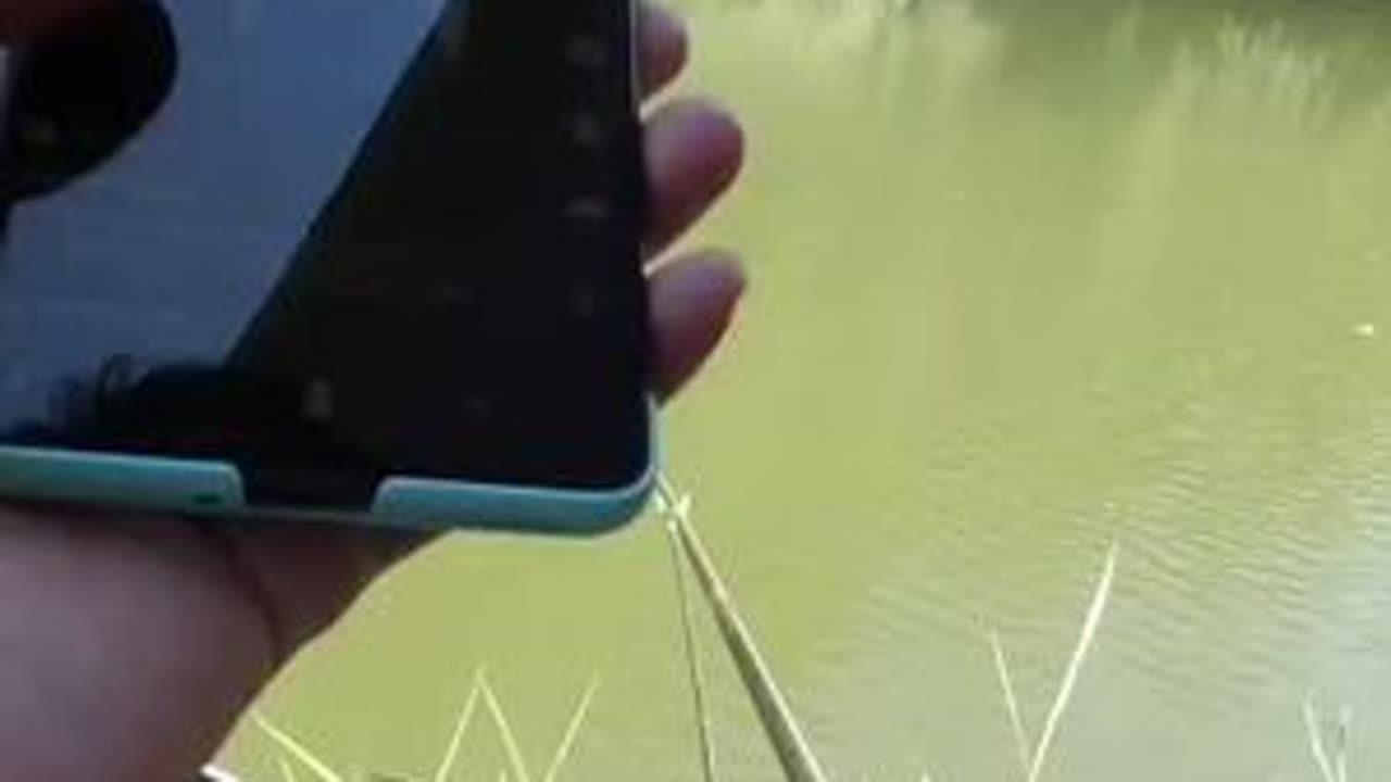 哎呀，你干嘛，哈哈哈哈哈哈