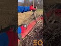 Sadnja lešnjaka / lješnika na plantaži