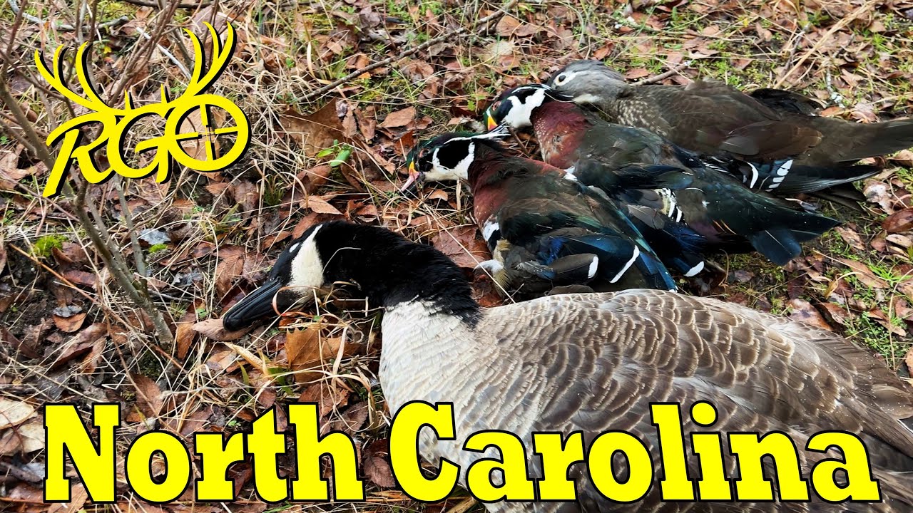 We Found Some Ducks...and a Goose - Our NC Adventure Finale | RGO 