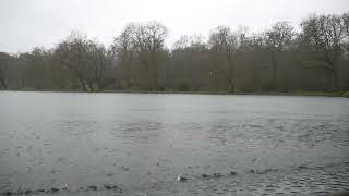 Le Bruit De La Pluie Sur Les Bords Dun Étang Pour Sendormir