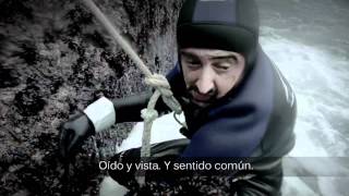 Percebeiros (Sea Bites)