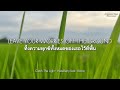 แปลเพลง Catch The Light HateBerry Feat Aaron ThaiSub Lyrics 