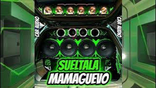 🔥CAR AUDIO 2023🔥SUETALA MAMAGUEVO❌DJ TITO PIZARRO / ALETEO