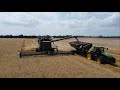 Wheat harvest 2022 has begun