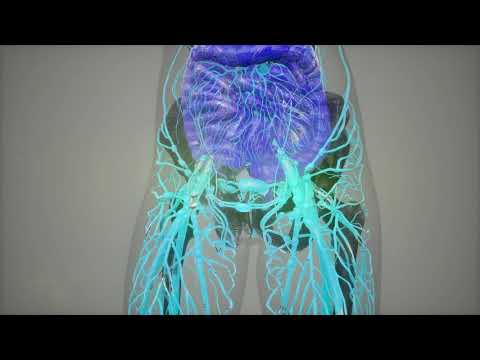 Video: Cos'è la distensibilità vascolare?