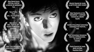 Metamorfosis (Franz Kafka - short film)