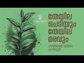 തേയില ചെടിയും തേയില മരവും: ഹാപ്പിനസ് ടൂറിസം കാന്തല്ലൂർ