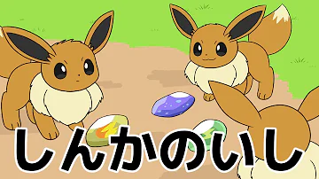 ポケモンコハルとイーブイ しんかのきせき