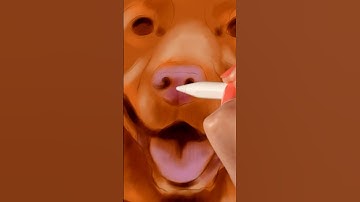 Realistic Dog Painting on iPad #procreatetutorial