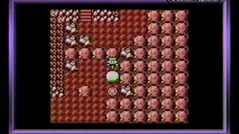 Pokemon Red Version Speedrun Part 14