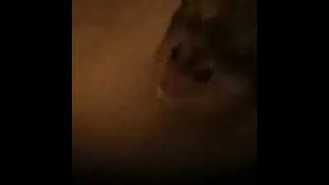 Archie gets some popcorn