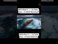 MSC Elsa 3 ⚓ | A Calm Sea… A Silent Warning#shorts #facts #viral #foryou #sea